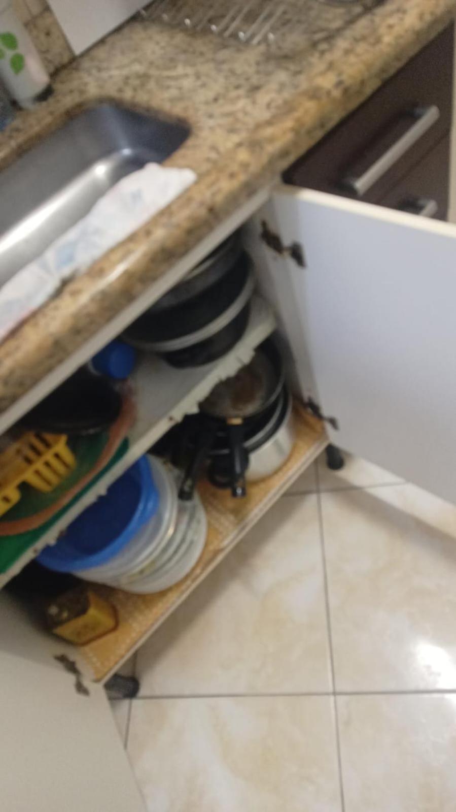 Apto A 50M Da Praia, Com Ar Condicionado, Wifi , Portaria 24H Praia Grande  Exteriér fotografie